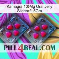 Kamagra 100Mg Oral Jelly Sildenafil 5Gm 14